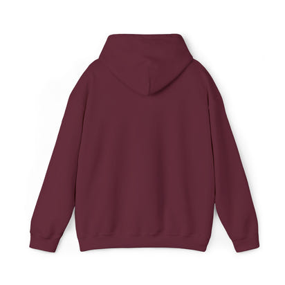 KLZ logo hoodie