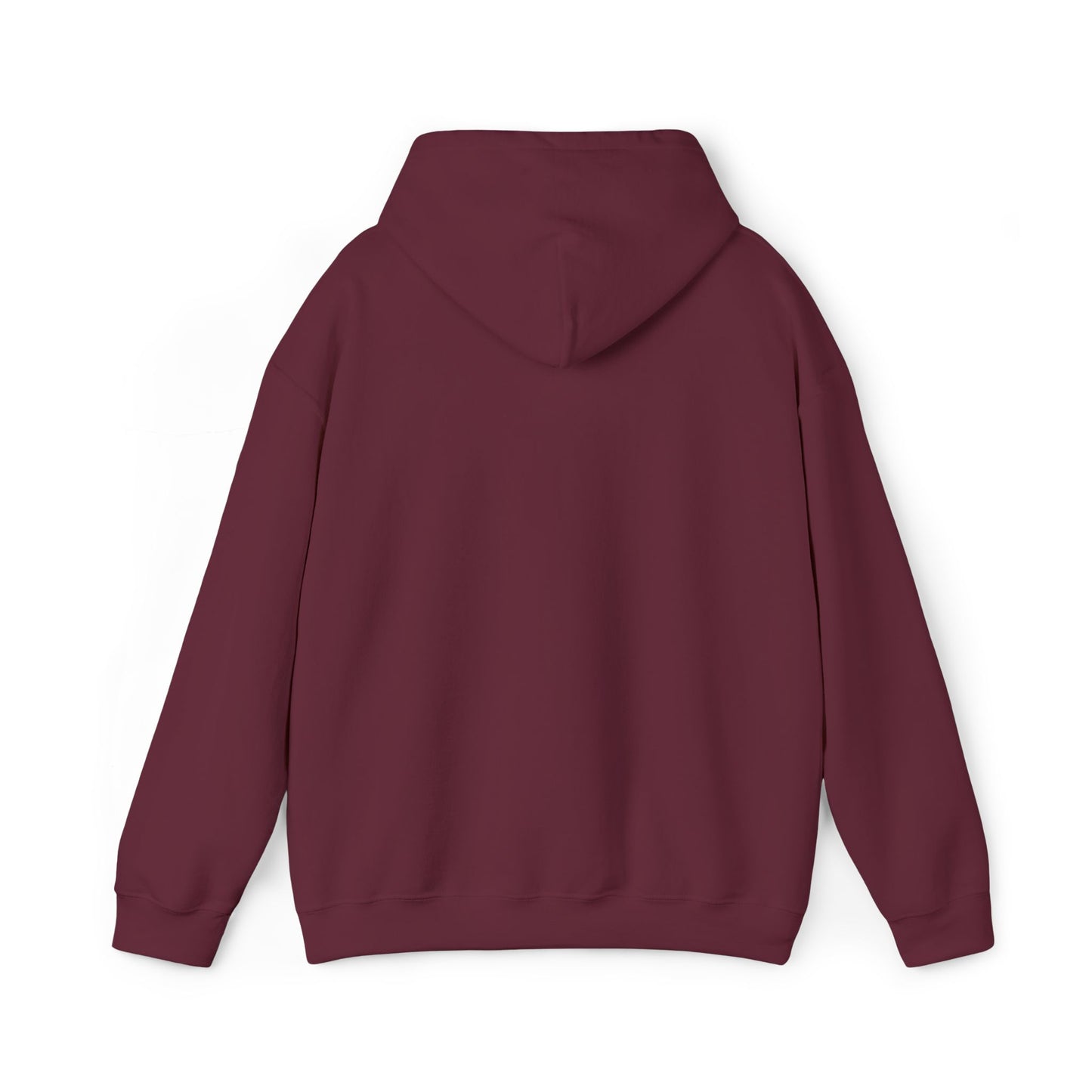 KLZ logo hoodie