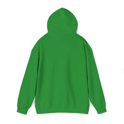 KLZ logo hoodie