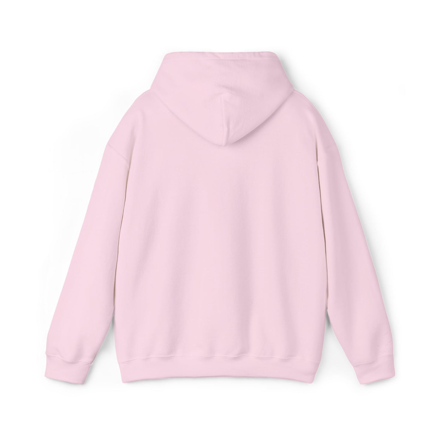 KLZ logo hoodie