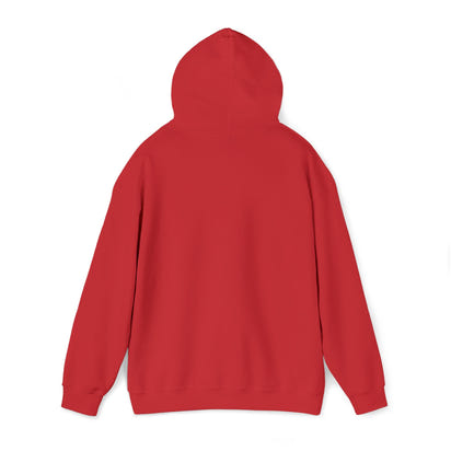 KLZ logo hoodie