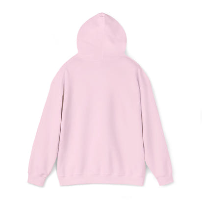 KLZ logo hoodie
