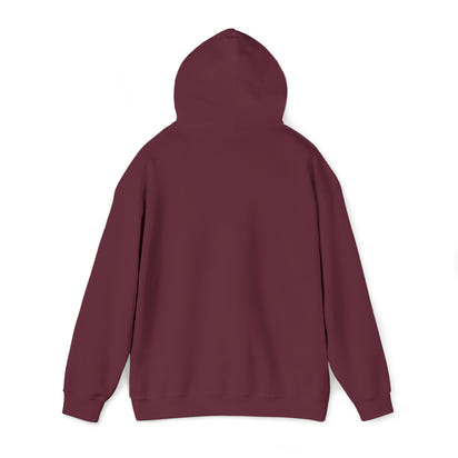 KLZ logo hoodie
