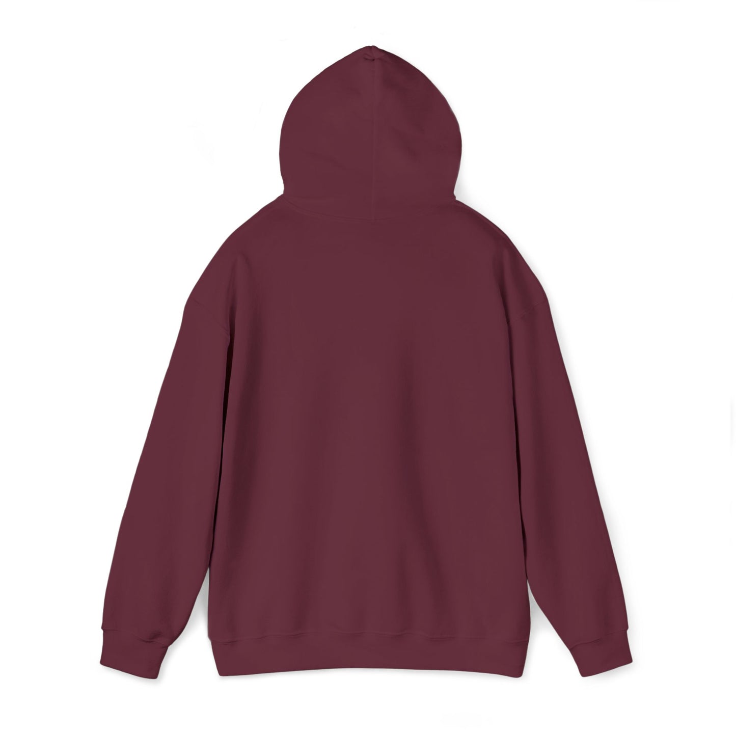 KLZ logo hoodie