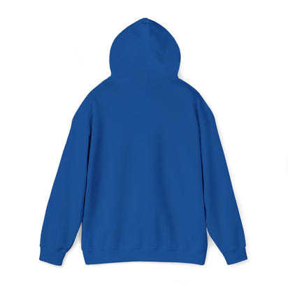 KLZ logo hoodie