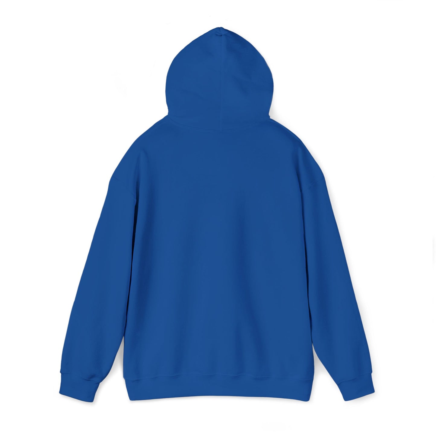 KLZ logo hoodie