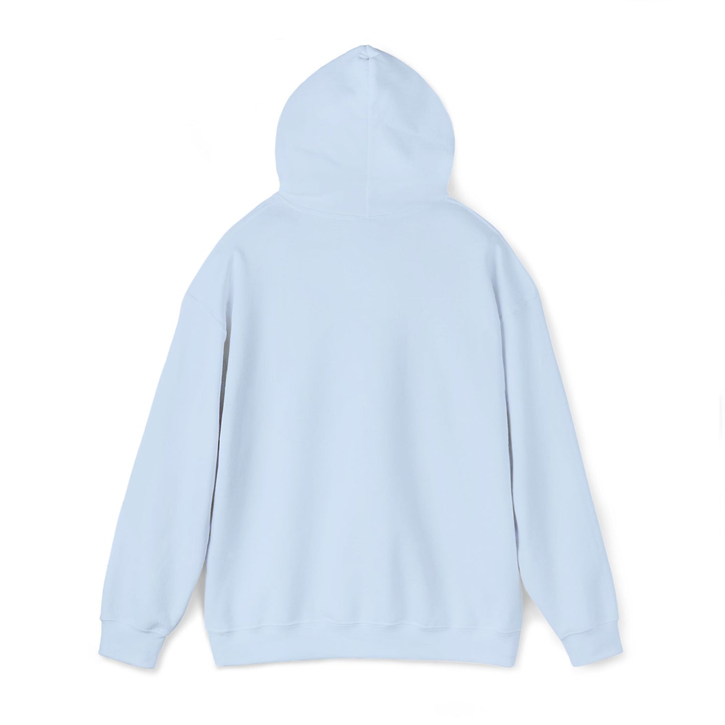 KLZ logo hoodie