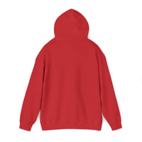 KLZ logo hoodie