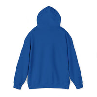 KLZ logo hoodie